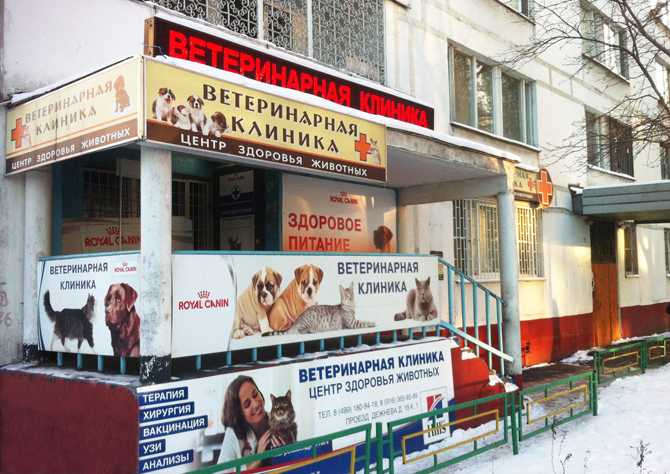 Центр здоровья животных - ветклиника в Москве, отзывы и контакты клиники