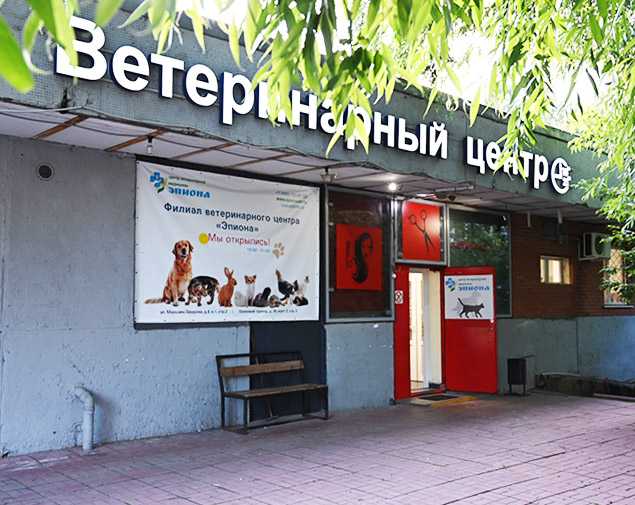 Эпиона - ветклиника в Москве, отзывы и контакты клиники