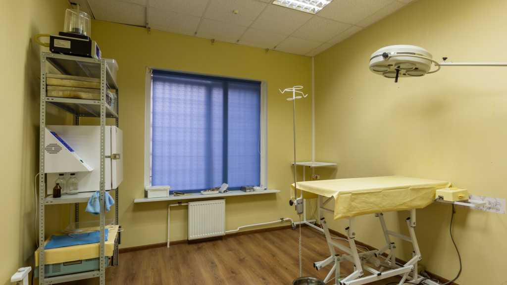 Ветеринарная клиника Veterinary Diagnostical Medicine - ветклиника в Москве, отзывы и контакты клиники