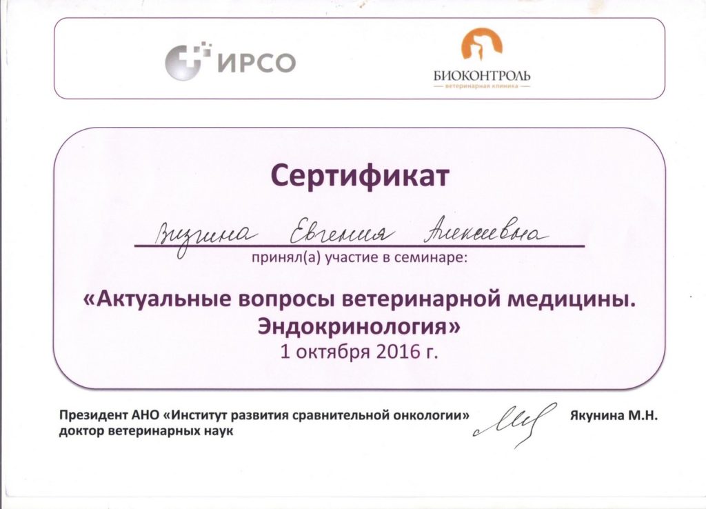 Сертификат 1