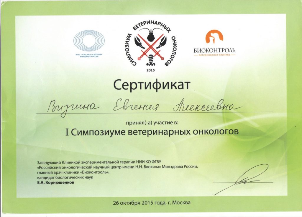 Сертификат 2