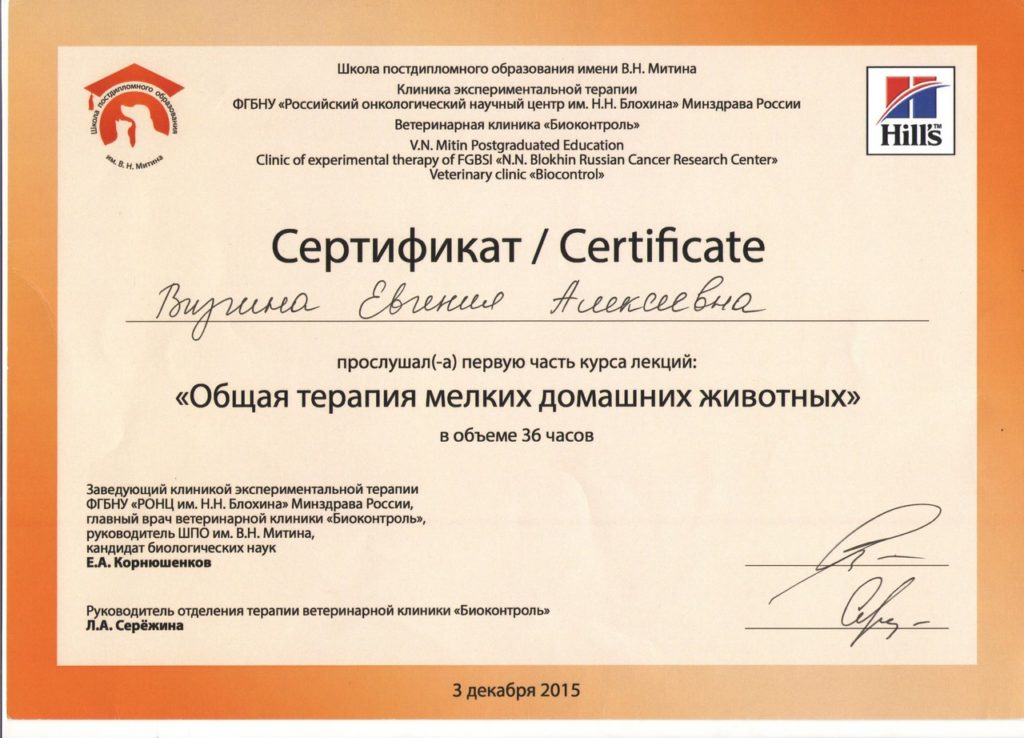 Сертификат 3