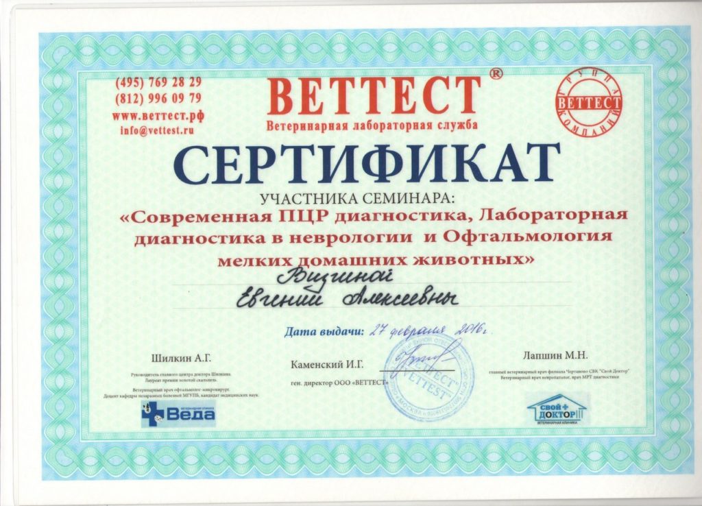 Сертификат 4