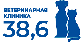 Логотип