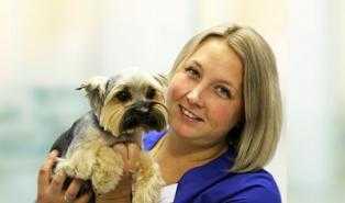 Бемби на Каховке