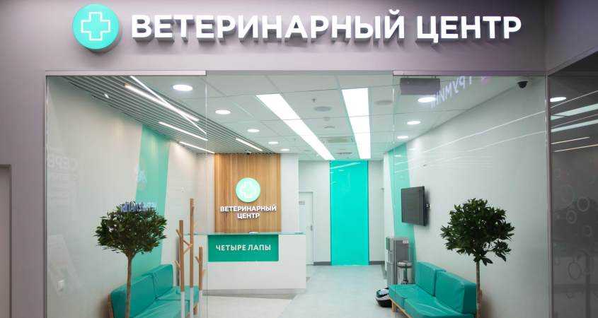 Четыре Лапы