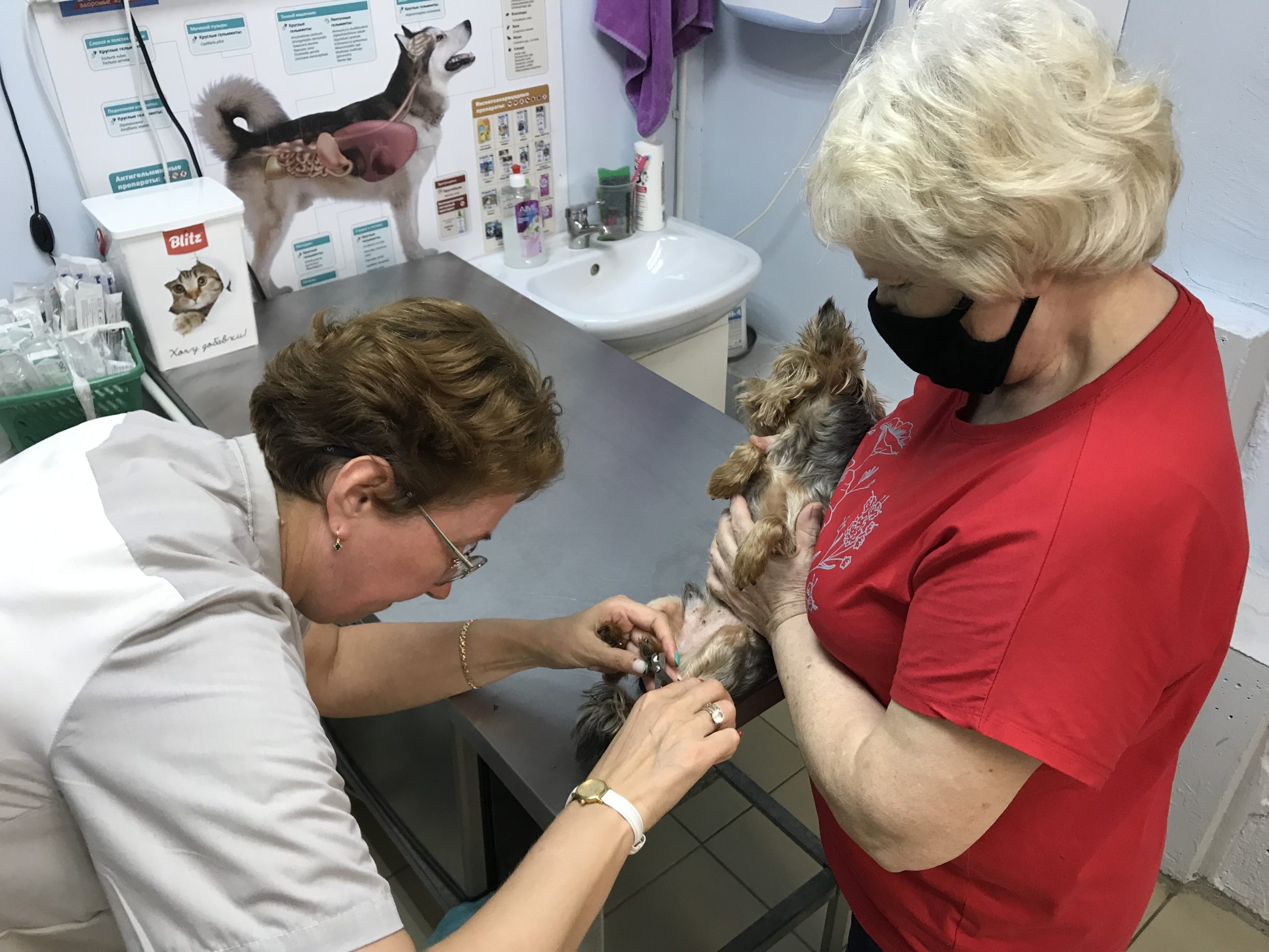 Фото клиники