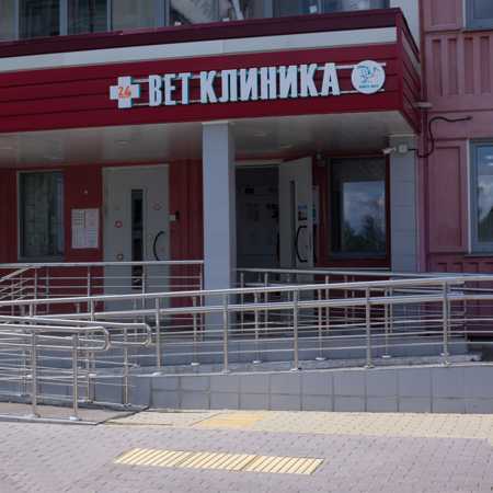 Аист-Вет на Александры Монаховой