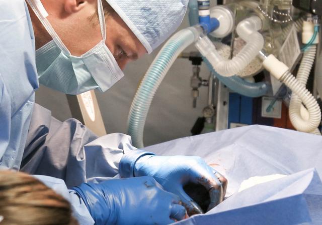 Альбета на Клары Цеткин