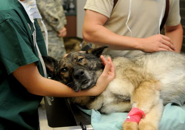 Альбета на Сумской