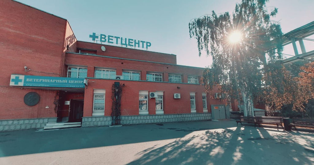 Беладонна на Рябиновой