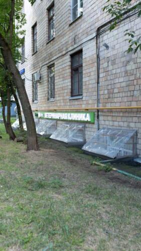 Био-Вет на Нижней Первомайской