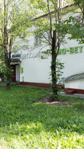 Био-Вет на Сапёрном