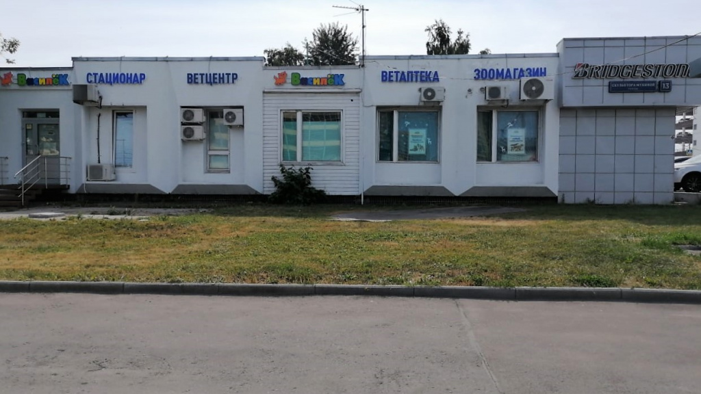 Василёк на Скульптора Мухиной