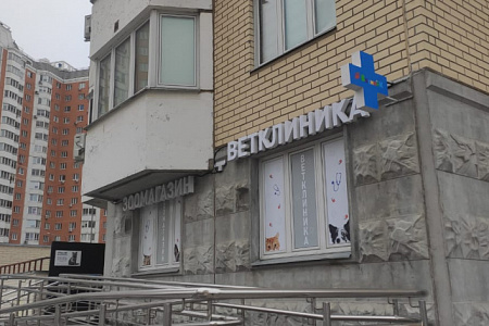 Василёк на Боровском