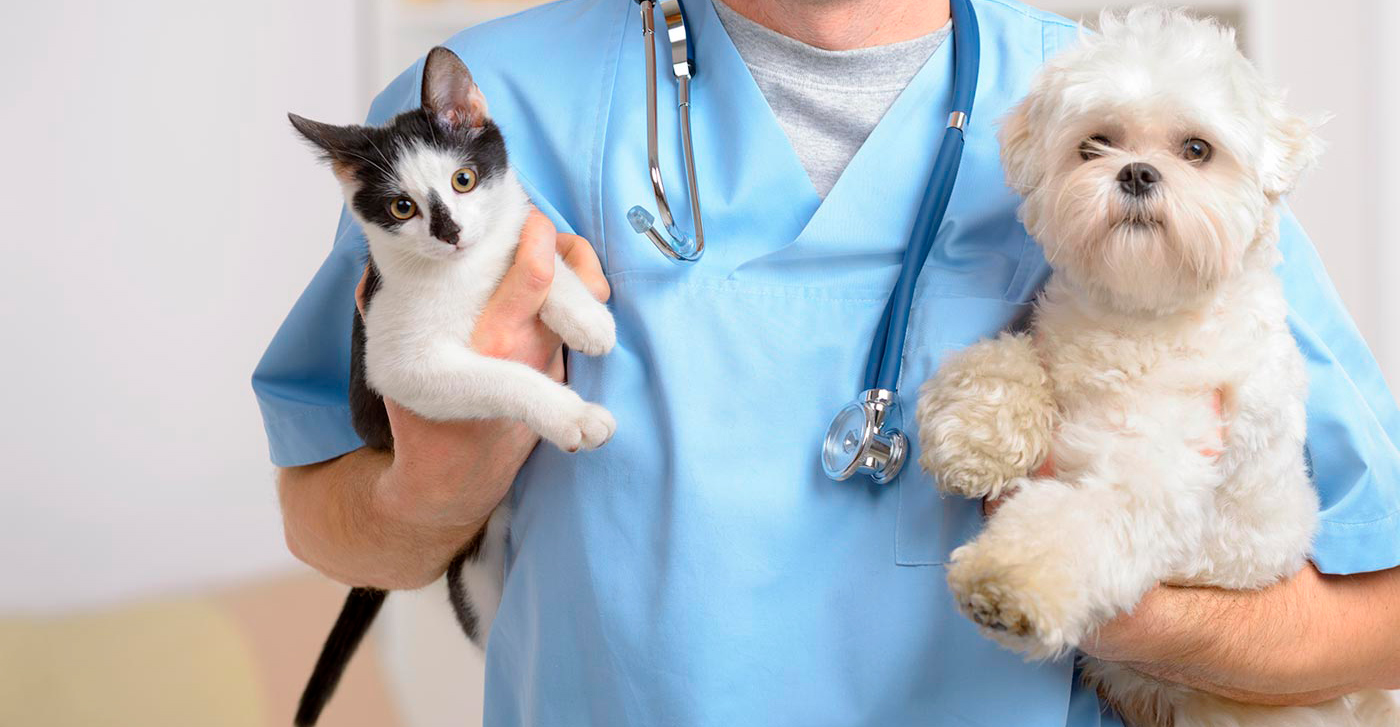 Ваш Добрый Доктор