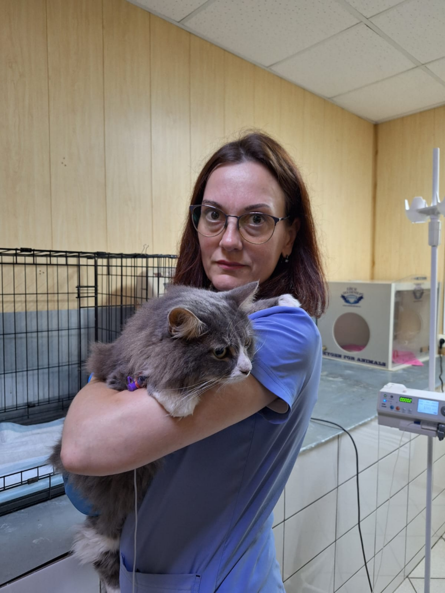 Вет Глобал на Зарайской