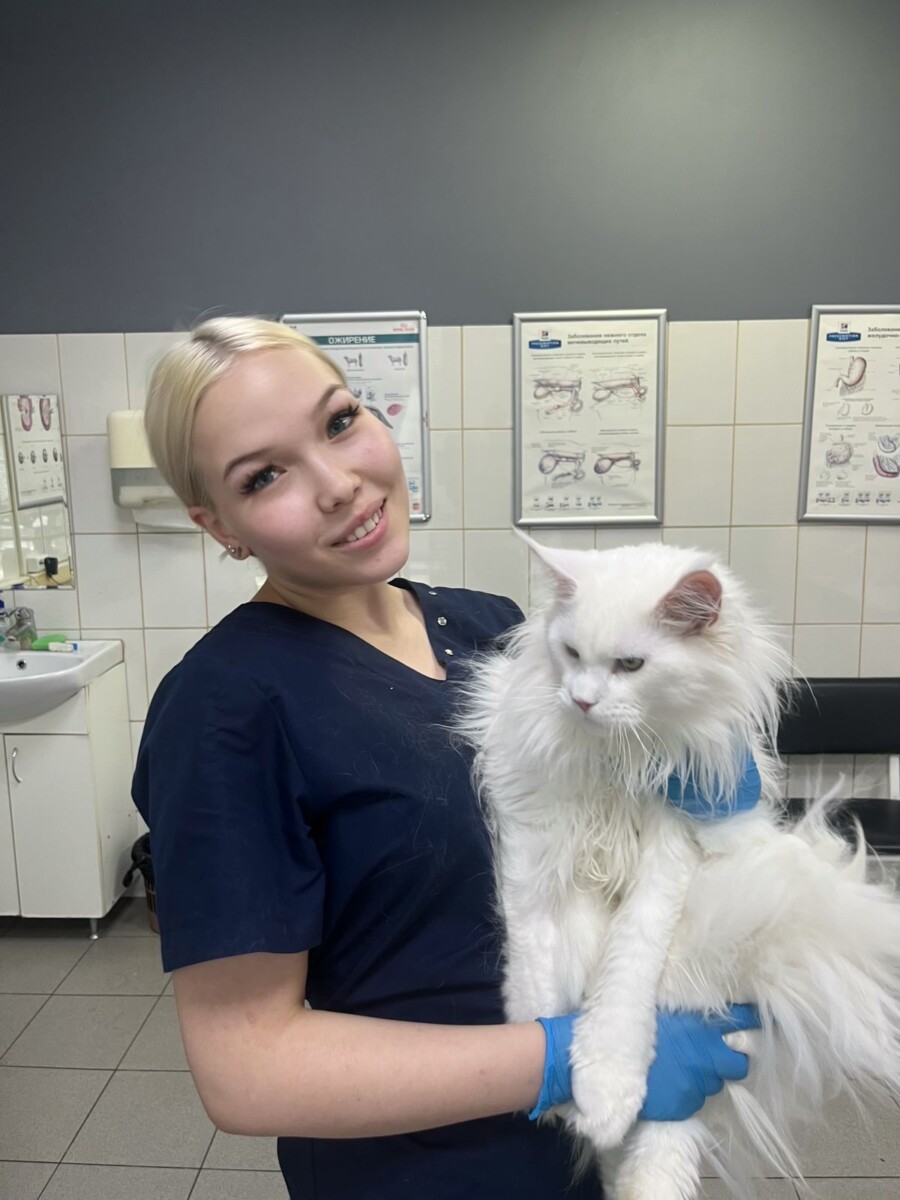 Вет Глобал на Сергия Радонежского