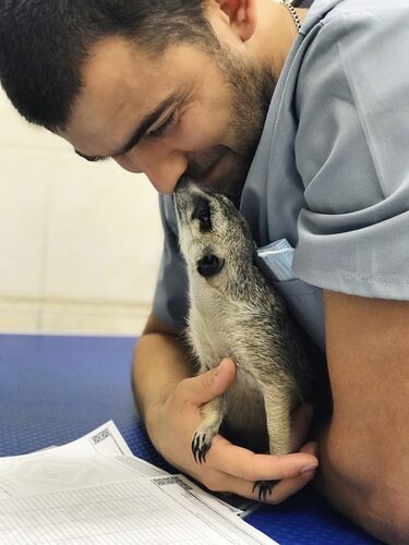 Ветеринарная клиника VET EGET