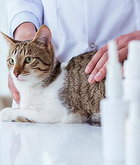 Фото 6
