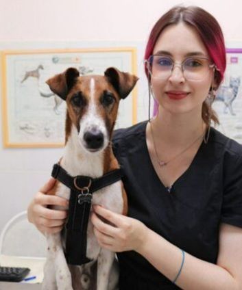 К9-Вет на Героев Панфиловцев