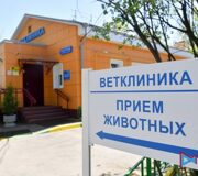 Калининская участковая ветеринарная лечебница