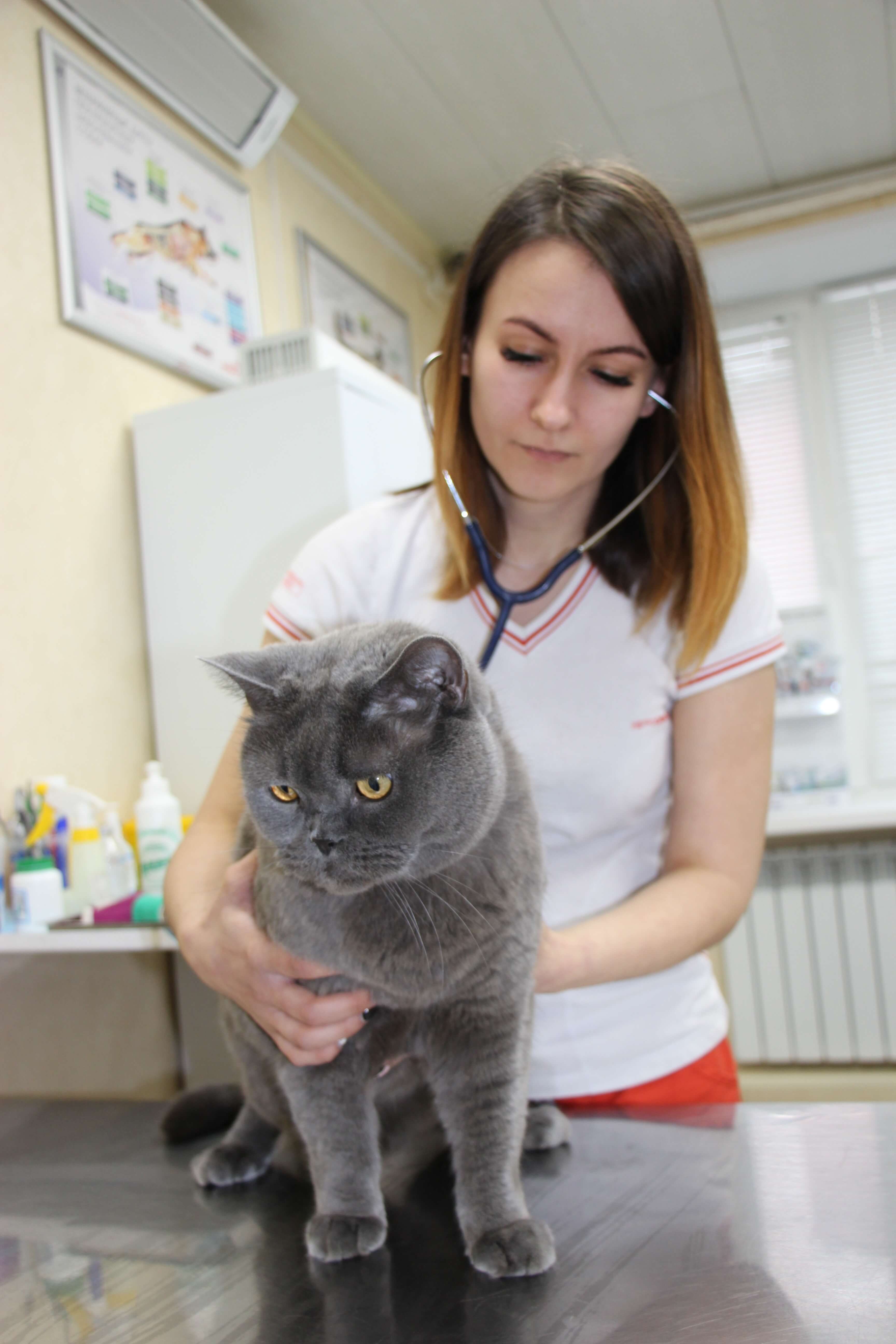 Фото клиники