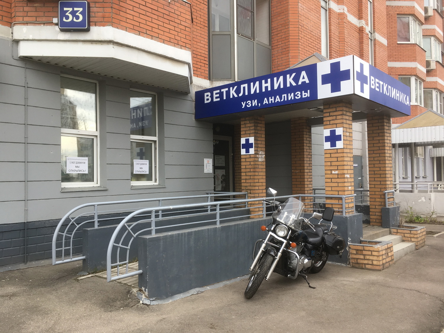 Кот ДаВинчи