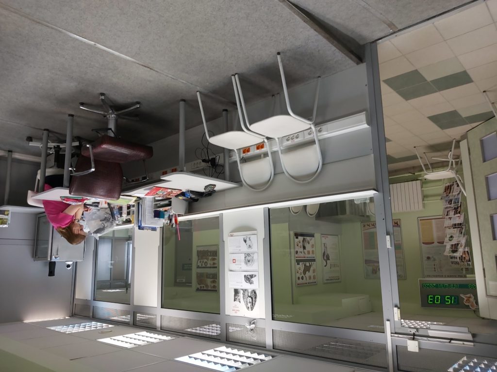 Ниаландо на Большой Филёвской