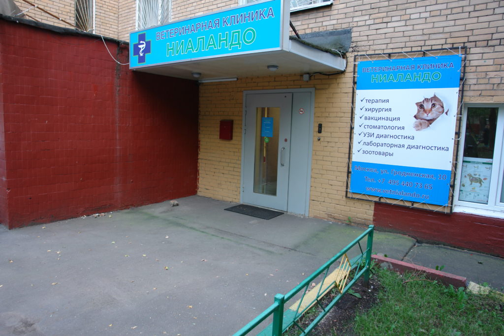 Ниаландо на Гродненской