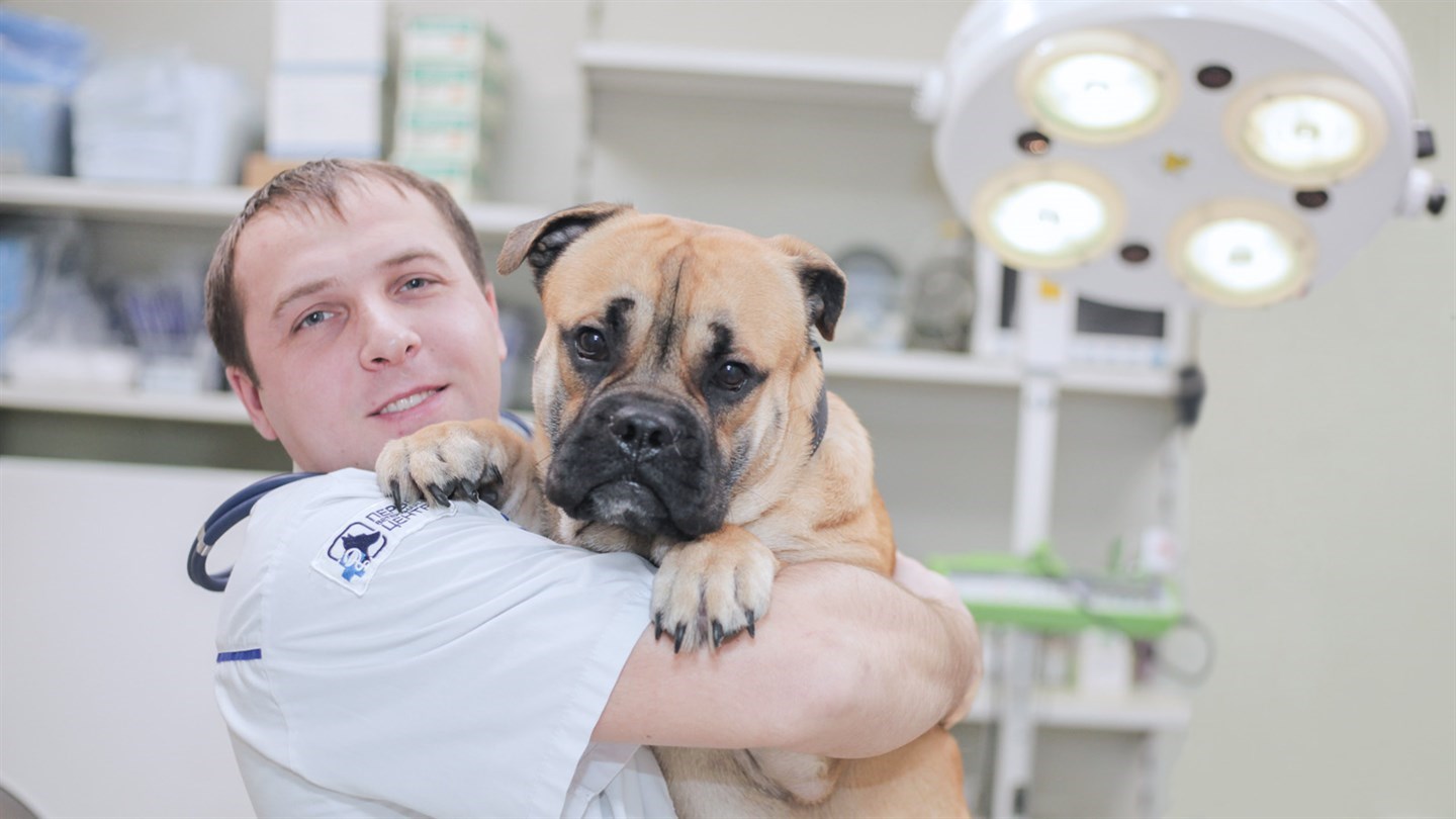 Первый Ветеринарный центр на Бирюлёвской