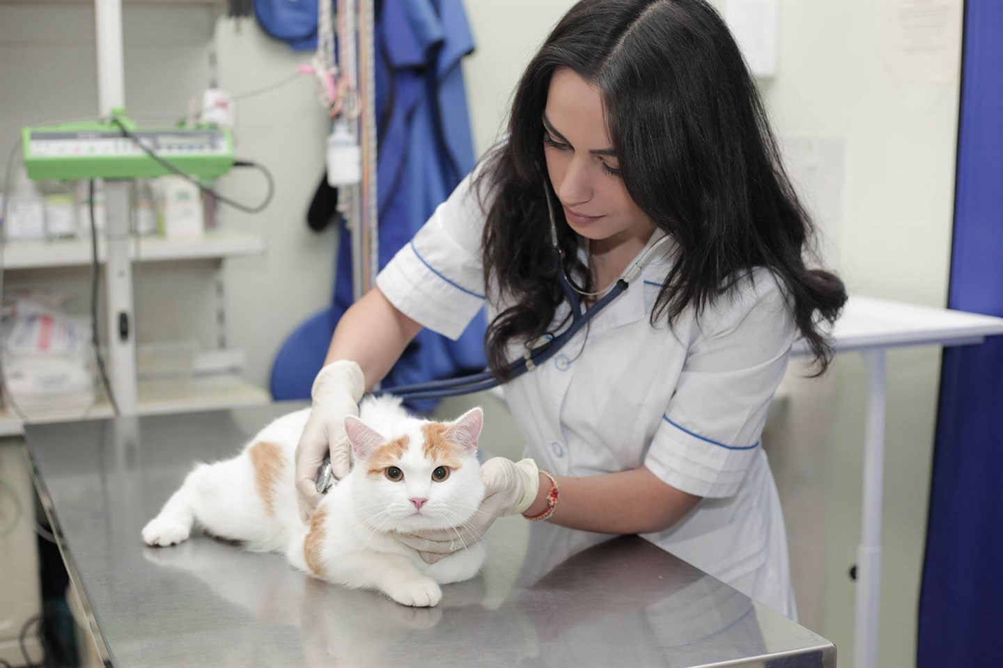 Первый ветеринарный центр на Батайской