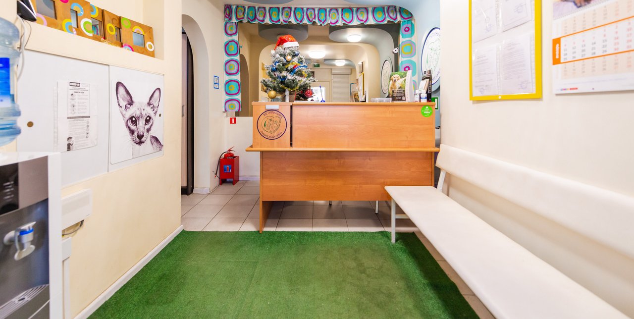 Пушистый нянь