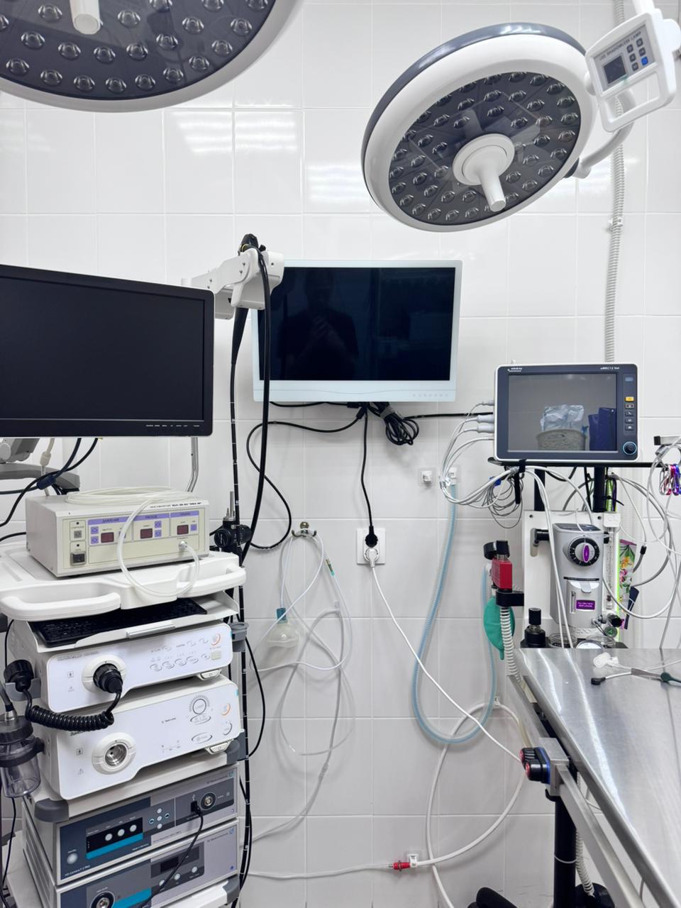 Солнцево-вет