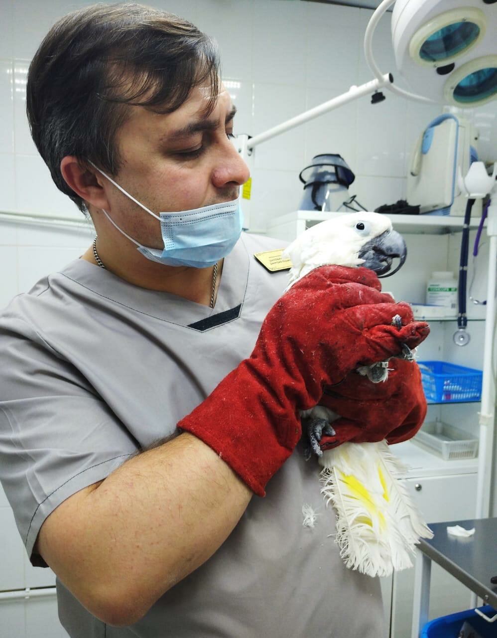 Ветеринарная клиника Дмитрия Шаловинского