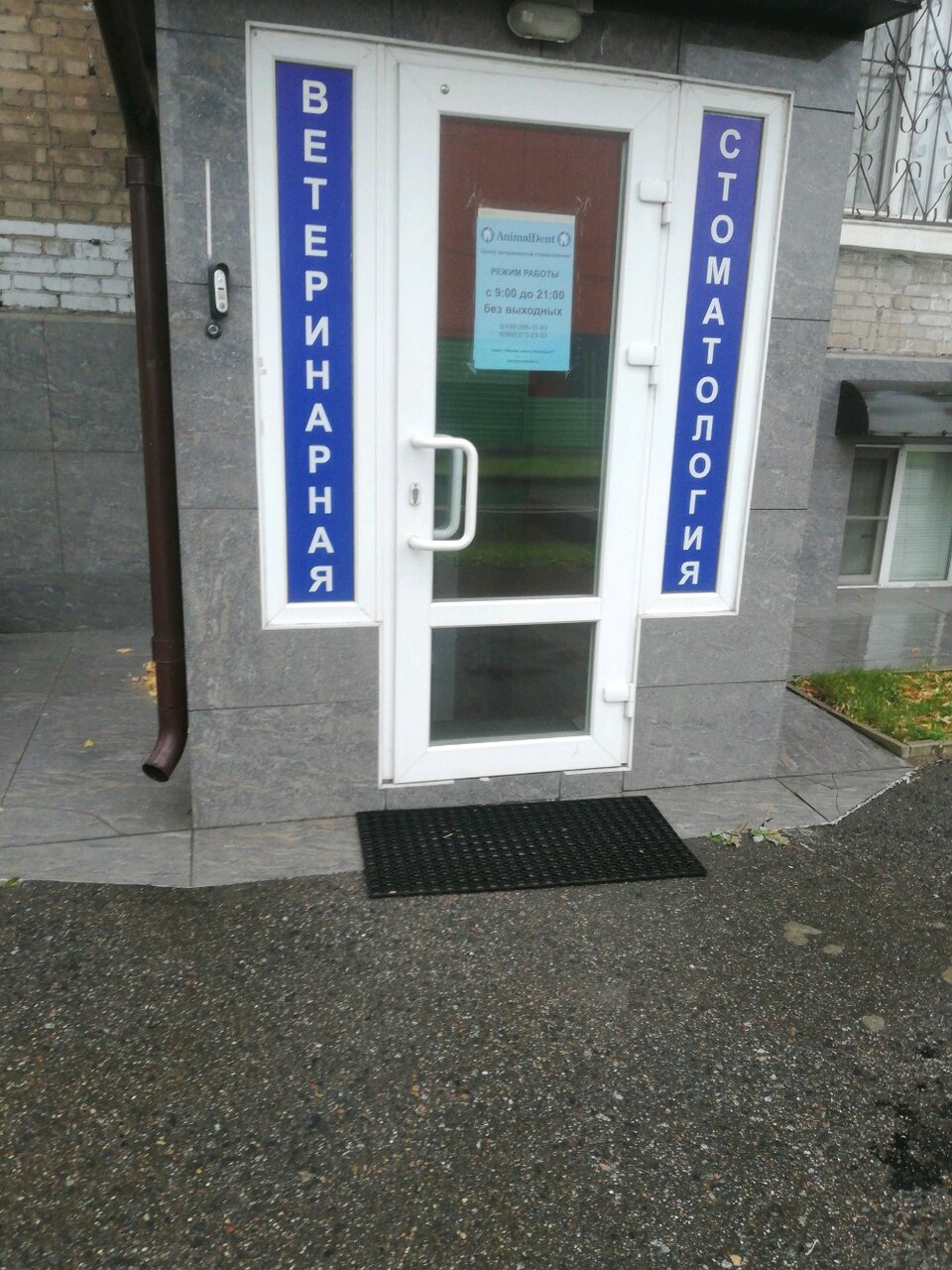 Анималдент