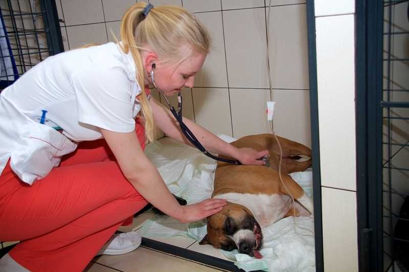 Дарвин на Кантемировской