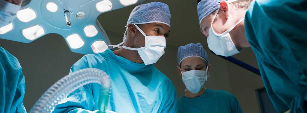 Династия Клиника ветеринарной геронтологии