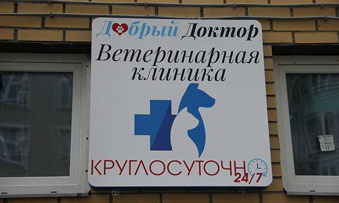 Добрый Доктор