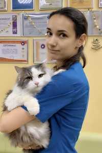 Доктор Панда