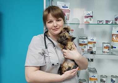 Доктор Шпицлен