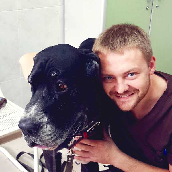 Доктор Ветсон