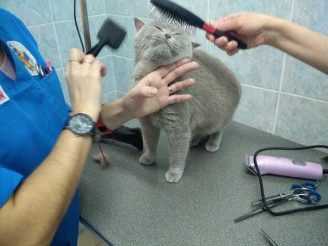 ГБУ Московская станция по борьбе с болезнями животных