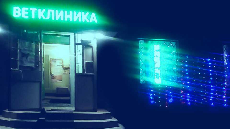 Городская ветеринарная клиника