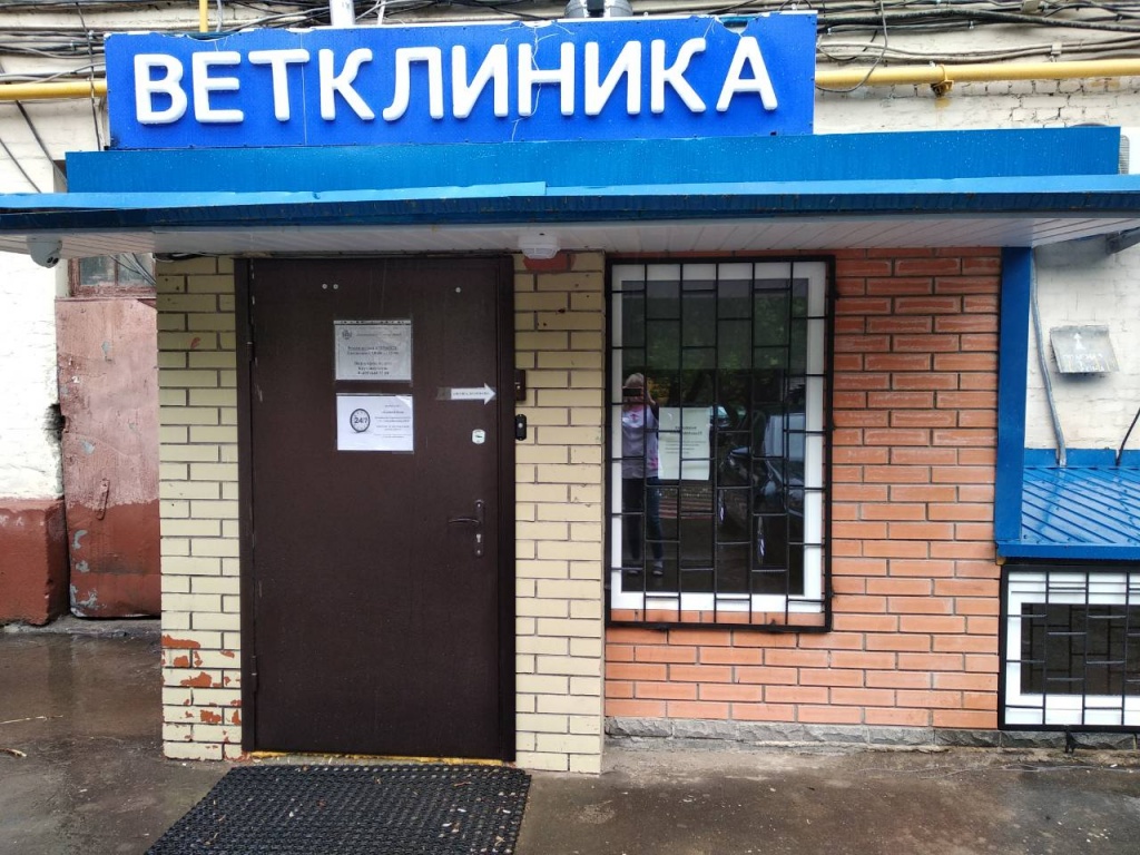 Панвет на Шарикоподшипниковской