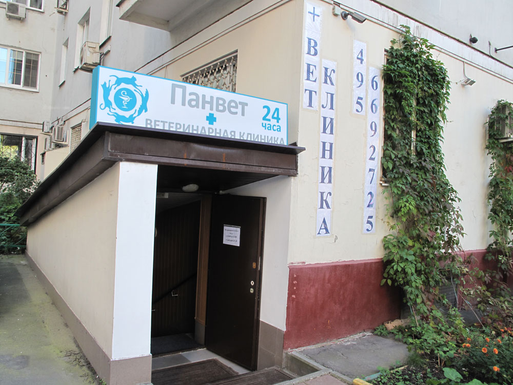 Панвет на Дубровской