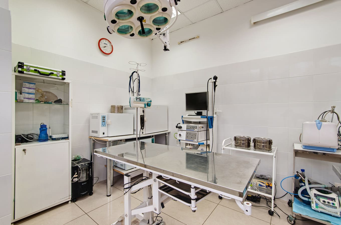 Ветеринарная клиника Ветлайф