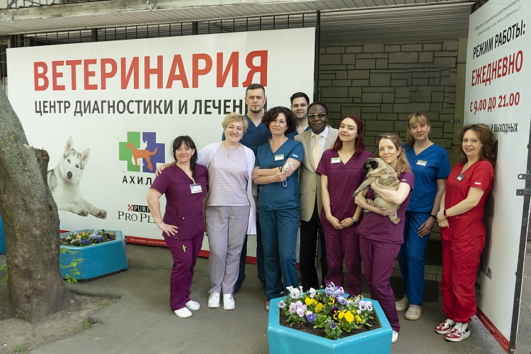 Ахилл на Дубнинской