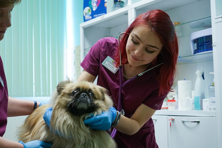 Ахилл на Белозерской