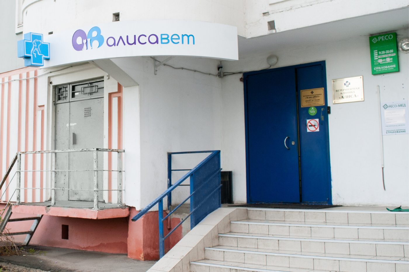 Алисавет на Витте